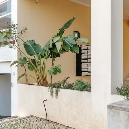 Mafalda's By Mycelia