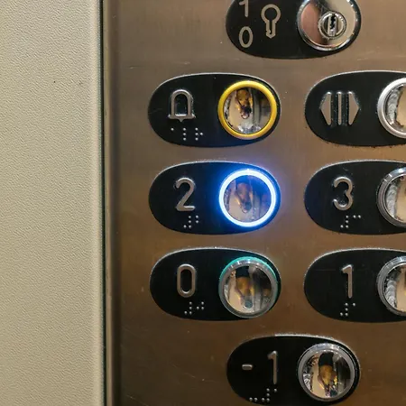 Mafalda's By Mycelia Alvor