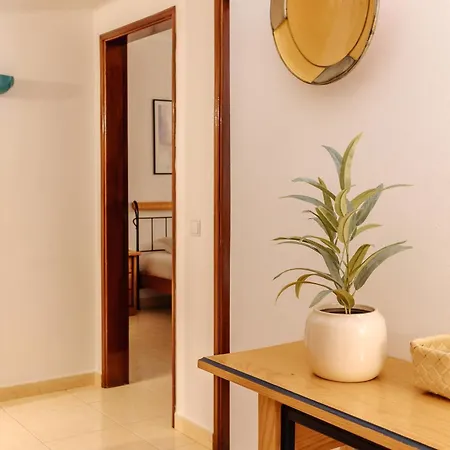 Mafalda's By Mycelia